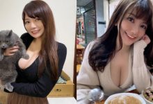 嘉義走失貓懸賞金50萬引起關注　「巨乳飼主」曝光更讓網友暴動-德州扑克迷