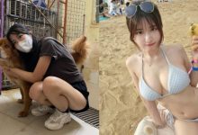 人美心善體還辣！香港巨乳正妹利用閒暇時間擔任狗園義工-德州扑克迷