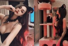 「巨乳貓貓」也想玩貓爬架！「窈窕正妹」Misa 蜜莎化身性感小貓咪，火辣到不行！-德州扑克迷