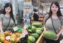 比西瓜還大！巨乳正妹逛超市　貼身上衣擋不住進擊乳量-德州扑克迷