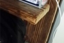 兒子偷用手機的偽裝術！其實老爸早就知情啦~(＞﹏＜)-德州扑克迷