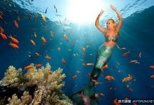 美女子熱愛水族館表演　改名「美人魚」-德州扑克迷