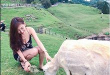 「清境低胸妹」露出乳能量!低頭餵羊畫面讓人療癒,沒想到還是一位空姐…-德州扑克迷