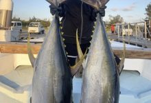 不只会剑玉!涼森れむ(凉森玲梦)还是天才小钓手!【EV扑克下载】-德州扑克迷