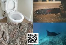 【EV扑克】扑克界谁的绰号最炸裂：电锯、魔鬼鱼、石化人、马桶？-德州扑克迷