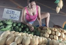 曼谷必去「爆乳芒果攤」！爆乳老闆娘邪惡視角，讓你「買兩粒送兩粒」！-德州扑克迷