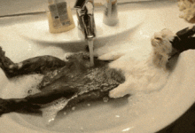 想成爲性學大師，先干掉這7個謠言-德州扑克迷