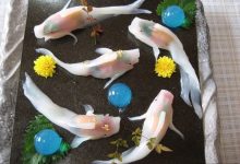 超強大『錦鯉壽司』 在家也可自己做!-德州扑克迷