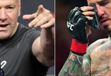 大发体育-达纳表示,他从未以“贬损的方式”谈论过汤姆,大发助力你的致富之路!-德州扑克迷