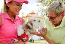 大发体育-米歇尔给巡演生活带来的困扰的建议是：养条狗，大发助力你的致富之路！-德州扑克迷