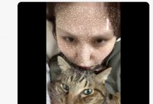 爱猫过世了⋯东北美人的她也不做了!【EV扑克下载】-德州扑克迷