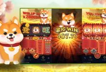 旺旺旺老虎机——大发娱乐上的喜庆娱乐人气之选-德州扑克迷