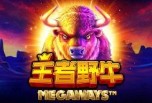 王者野牛——在大发娱乐感受草原霸主的内敛力量-德州扑克迷