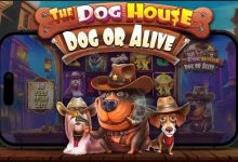 汪汪之家·狗狗神气 —— 大发娱乐全新萌宠主题老虎机深度介绍-德州扑克迷