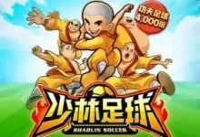 大发娱乐平台少林足球老虎机游戏深度介绍-德州扑克迷