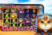 《埃及神猫》强势登场大发娱乐：穿越神庙，追寻黄金的召唤-德州扑克迷