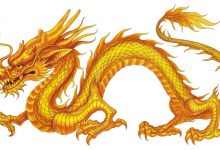 網友被親戚介紹與龍妹相親,上網尋求協助引發熱議-德州扑克迷