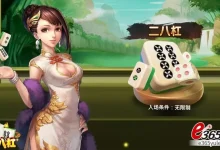 大发娱乐全新《二八杠》震撼上线——传统智慧与现代竞技的极致融合-德州扑克迷