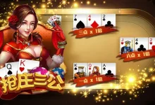 【大发娱乐】三公游戏全新体验，挑战你的刺激感官！-德州扑克迷
