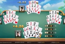 大发娱乐十三水——智谋与激情并存的巅峰对决！-德州扑克迷