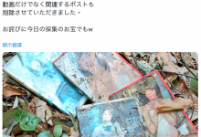 作品被丢到山里⋯架乃ゆら(架乃由罗)这么看【EV扑克下载】-德州扑克迷