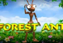 森林蚂蚁老虎机玩法解析:投注规则、奖金机制与RTP全解读-德州扑克迷