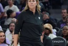 明尼苏达山猫队首次全球招聘，扩充前台团队，大发体育助力你的致富之路！-德州扑克迷