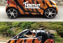 藝人車款第二彈之性感女神李孝利開什麼車？-德州扑克迷