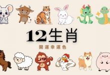 幸运十二生肖老虎机｜文化与娱乐的完美融合-德州扑克迷
