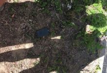 失主手機桌面太狂!拾獲者爲「保護」家母狠心棄之不顧-德州扑克迷