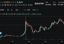 Bonk Guy的链上逆袭与争议:影响力、跟单与高集中仓位的回撤风险-德州扑克迷